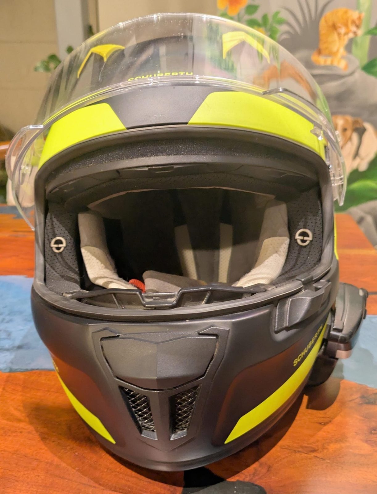 Helmet - image 1